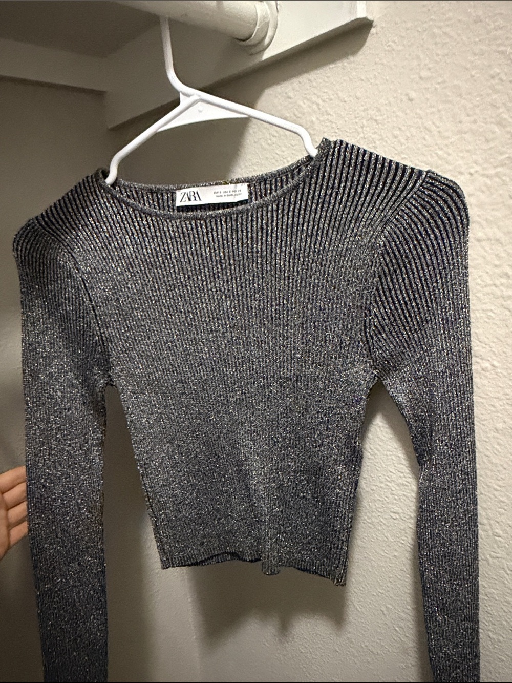 ZARA Silver Metallic Ribbed Long Sleeve Crop Top